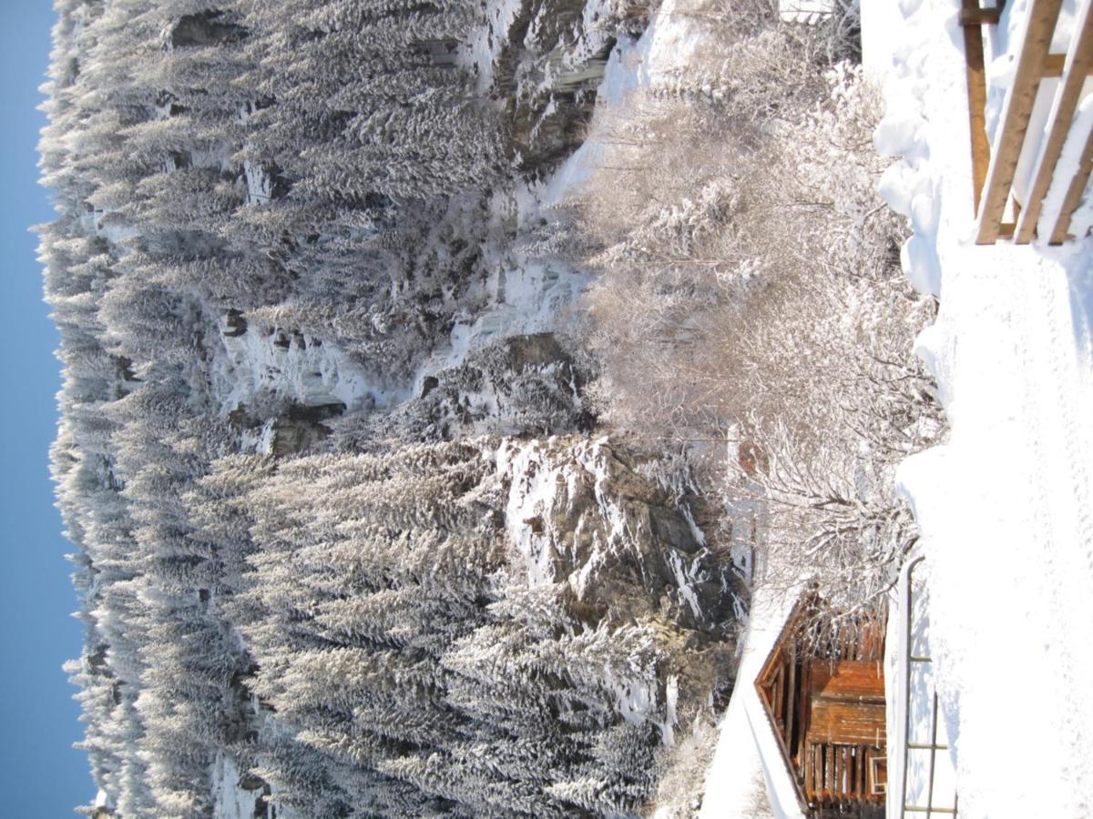 Alpina Appartement Sankt Leonhard im Pitztal Εξωτερικό φωτογραφία