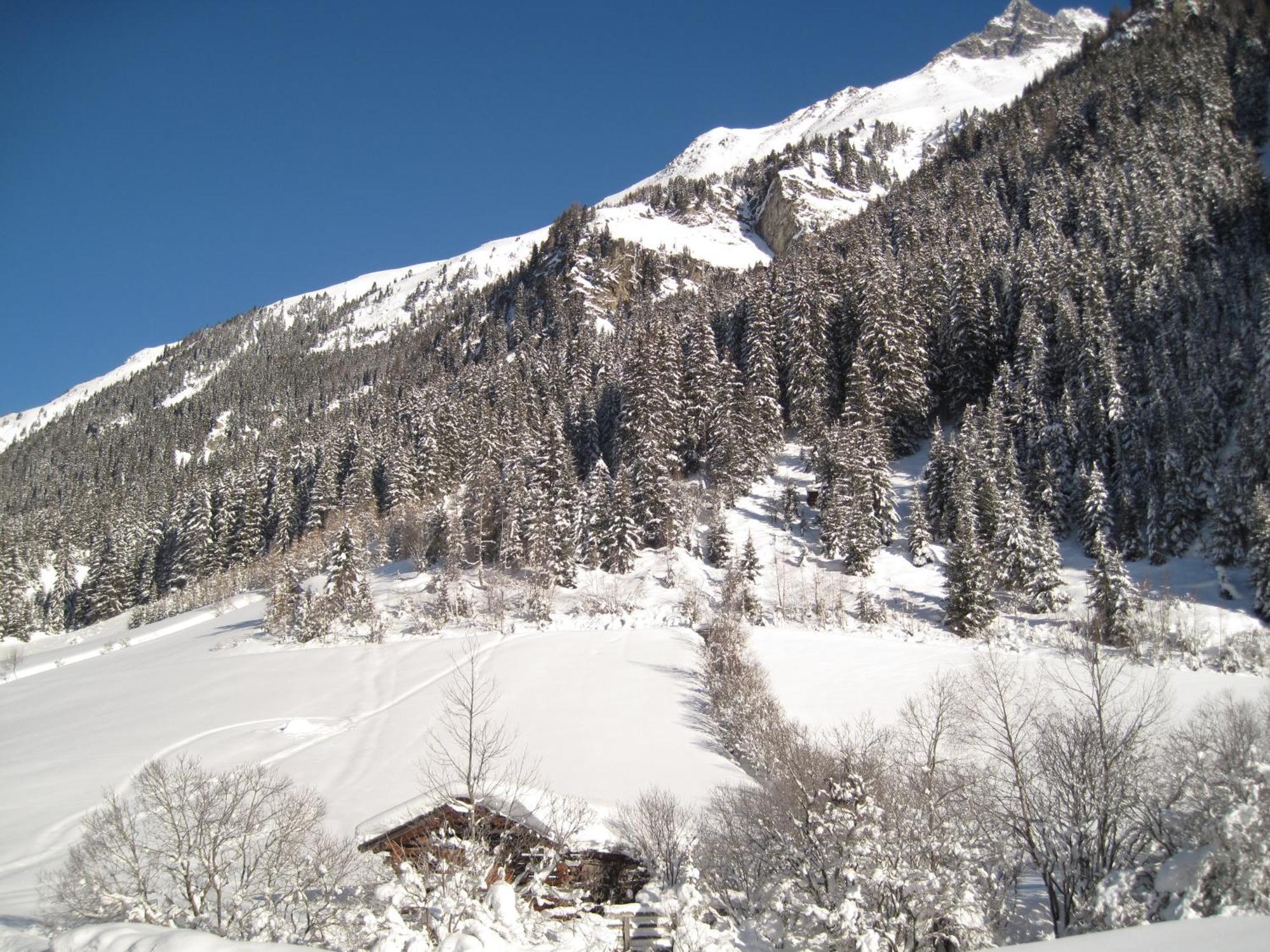 Alpina Appartement Sankt Leonhard im Pitztal Εξωτερικό φωτογραφία