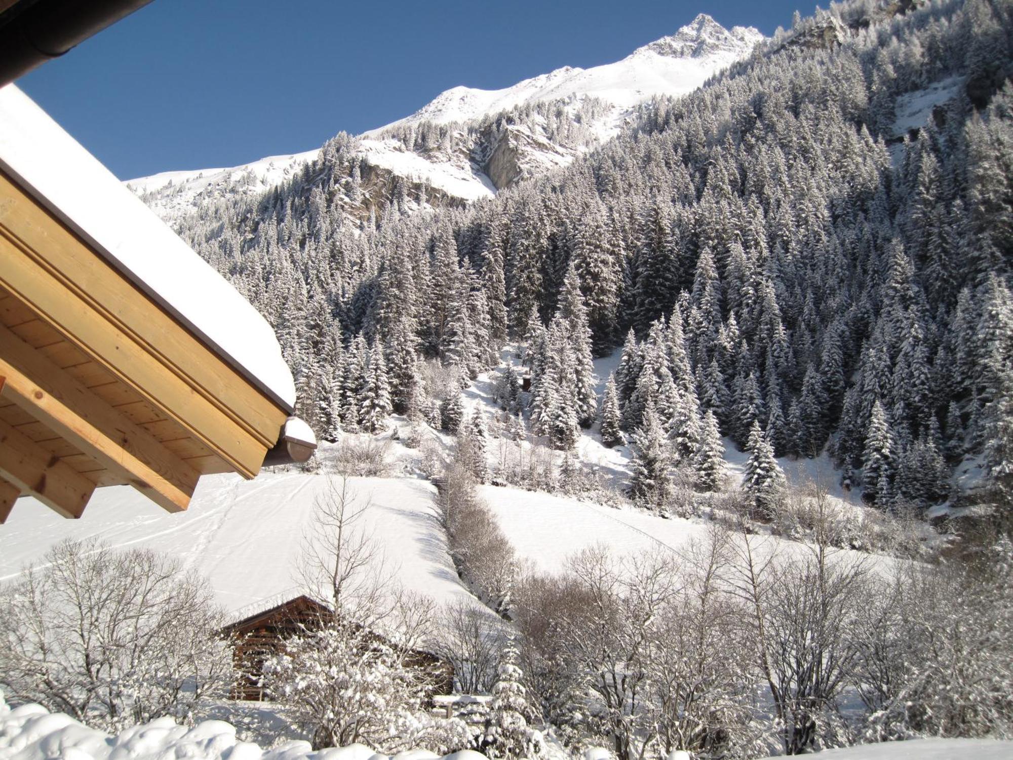 Alpina Appartement Sankt Leonhard im Pitztal Εξωτερικό φωτογραφία