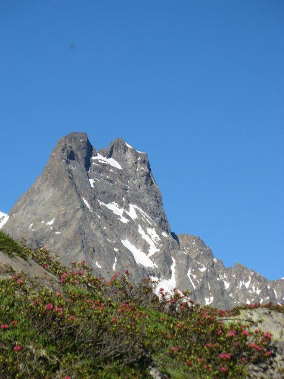 Alpina Appartement Sankt Leonhard im Pitztal Εξωτερικό φωτογραφία
